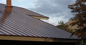 How to Choose the Best Roof Type for Your Needs